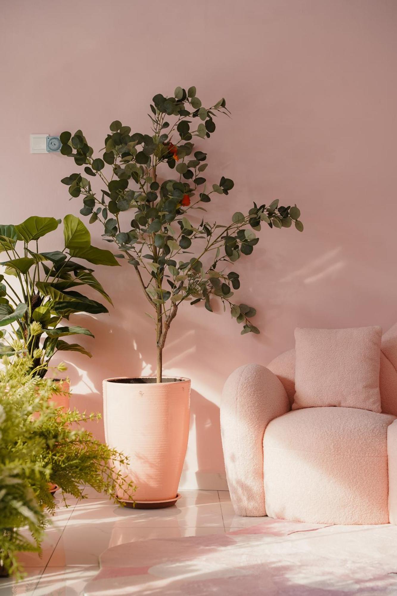 Pink Cabana Hotel Τζωρτζ Τάουν Εξωτερικό φωτογραφία